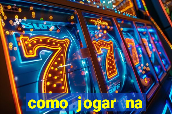 como jogar na lotinha do jogo do bicho